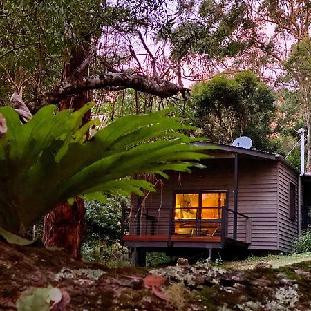 Whispering Valley Cottage Retreat Maleny Exterior photo