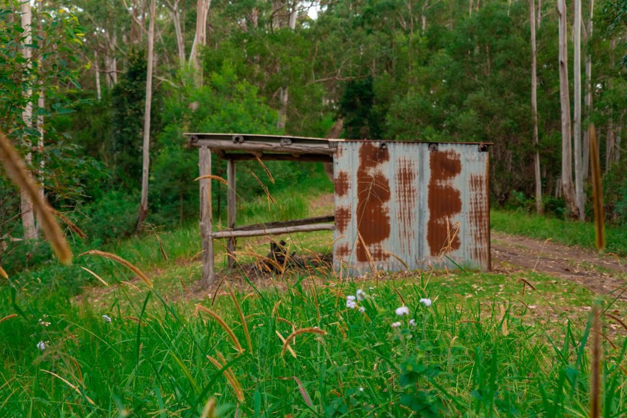 Whispering Valley Cottage Retreat Maleny Exterior photo