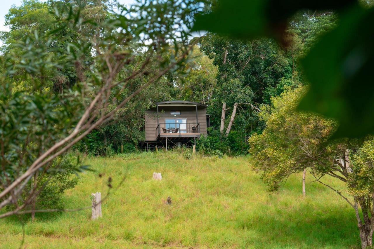 Whispering Valley Cottage Retreat Maleny Exterior photo