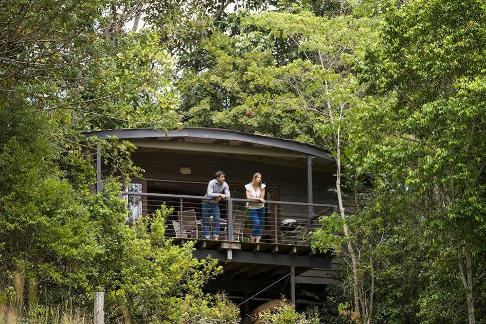 Whispering Valley Cottage Retreat Maleny Exterior photo